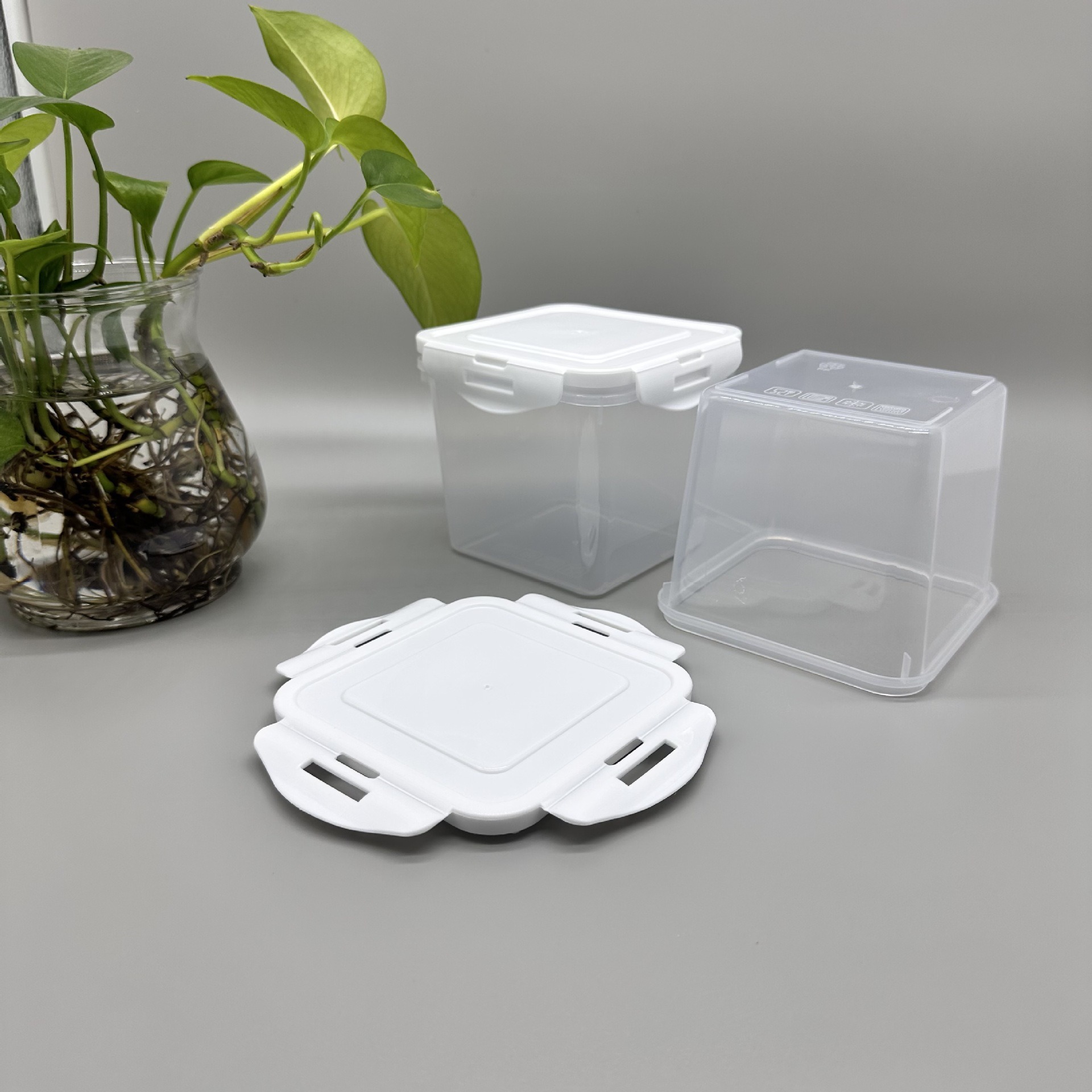 0.6 Liters 1 Liters 1.2 Liters 2 Liters 2 Catties 2kg Yogurt Packaging Barrel Plastic Transparent Insurance Box with Lid to Keep Fresh