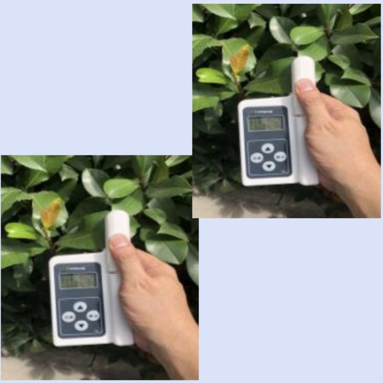 Детектор содержания хлорофилла в растениях/детектор температуры листьев модель M398800
