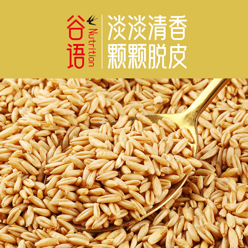 Yamantian Oat Rice 500g Vacuum Packed New Rice Grain Factory Wholesale Oat Rice