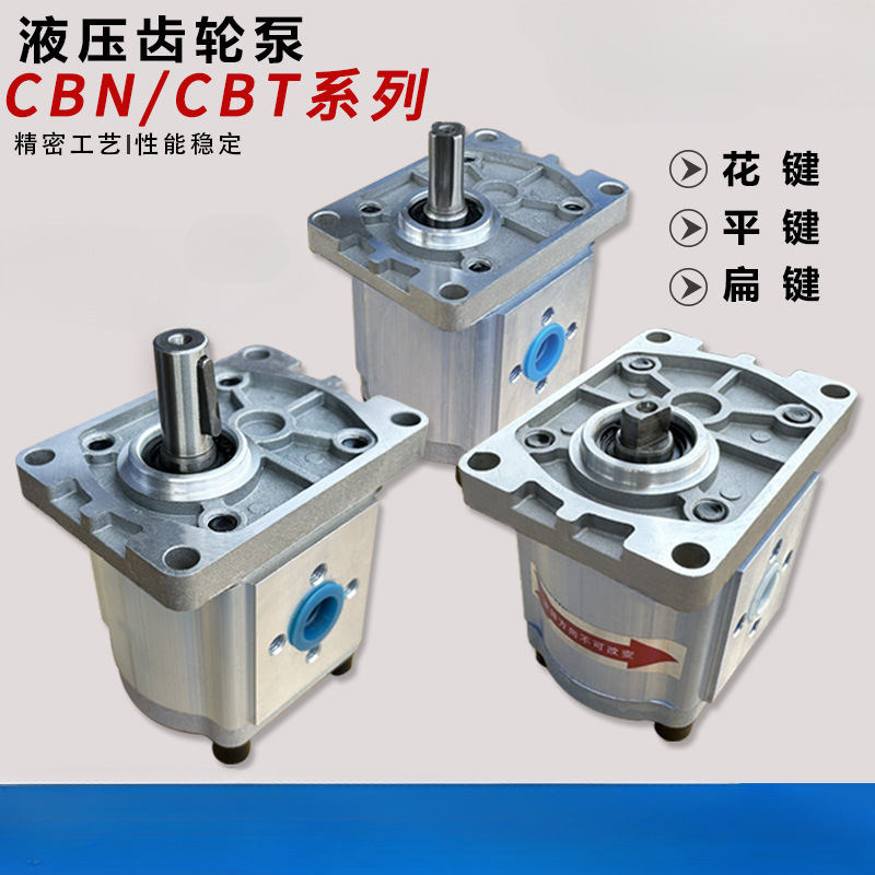 гидравлический шестеренчатый насос сборка масляного насоса Cbn-F310/314/316/20/25 малый насос высокого давления полный насосный узел