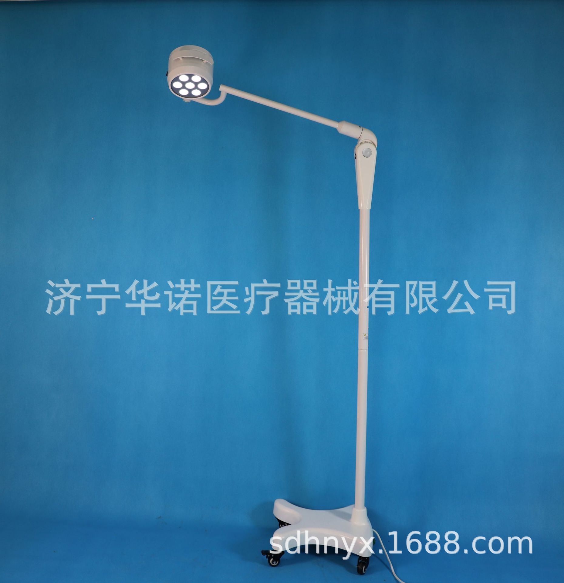 Beauty Lamp, Oral Lamp, Surgical Lamp, Inspection Lamp, Gynecological Mobile Lamp, Pet Lamp, Outpatient Surgical Lamp, Emergency Department Lamp