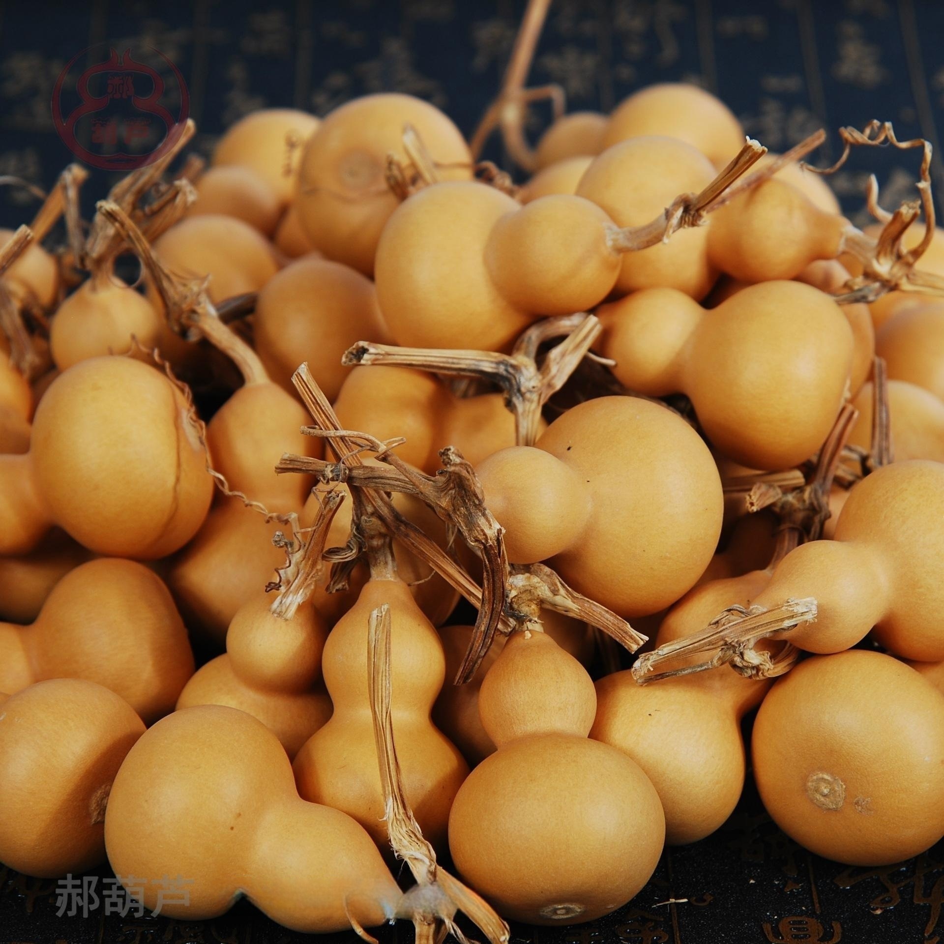 Manufacturer Wholesale Small Gourd Hand-Twisted Toys, Premium American Gourd for Cultivation, Natural Gourd for Various Specifications