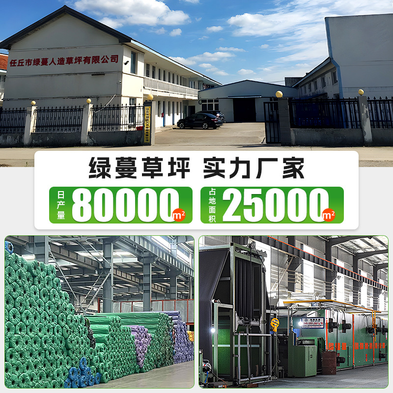 Artificial Carpet Mat for School Football Field Artificial False Lawn