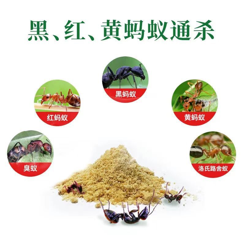 Ning Er Ant medicine wholesale household ant killing clear indoor yellow ant anti-red ant black ant non-toxic delivery