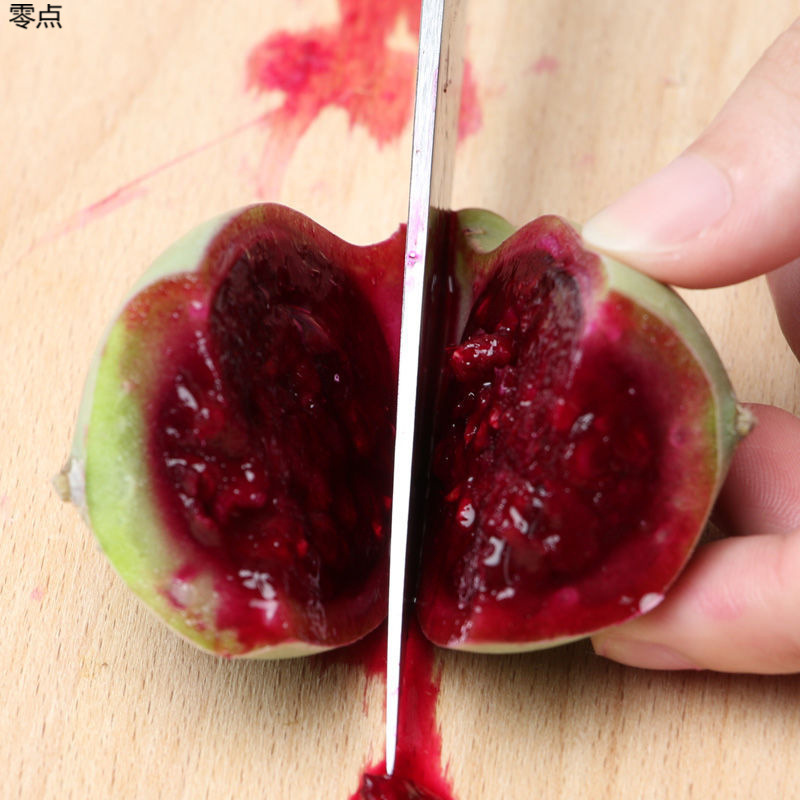 Fresh Red Heart Wild Cactus Fruit from Sanya, Hainan, Seasonal Tropical Exotic Fruit Drinks