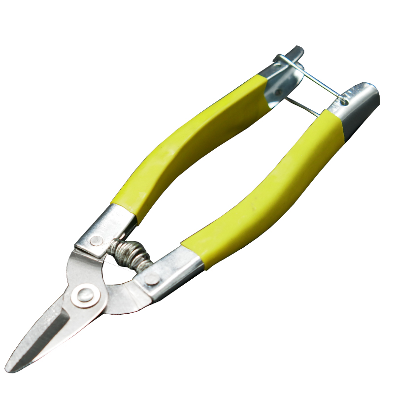 Pruning Shears, Flower Pruning Scissors, Branch Shears, Fruit Gardening Household Citrus Orange Knife, Grape Cutting Special Round Head and Small Mouth