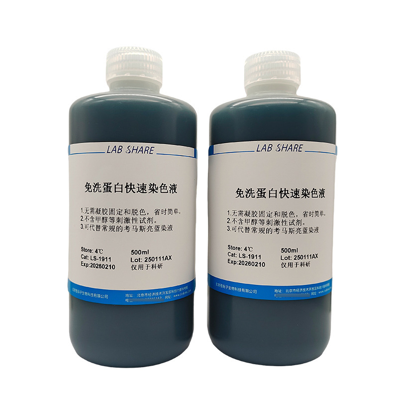 Wash-free protein rapid staining solution microbiological experiments for scientific laboratory manufacturers supply only
