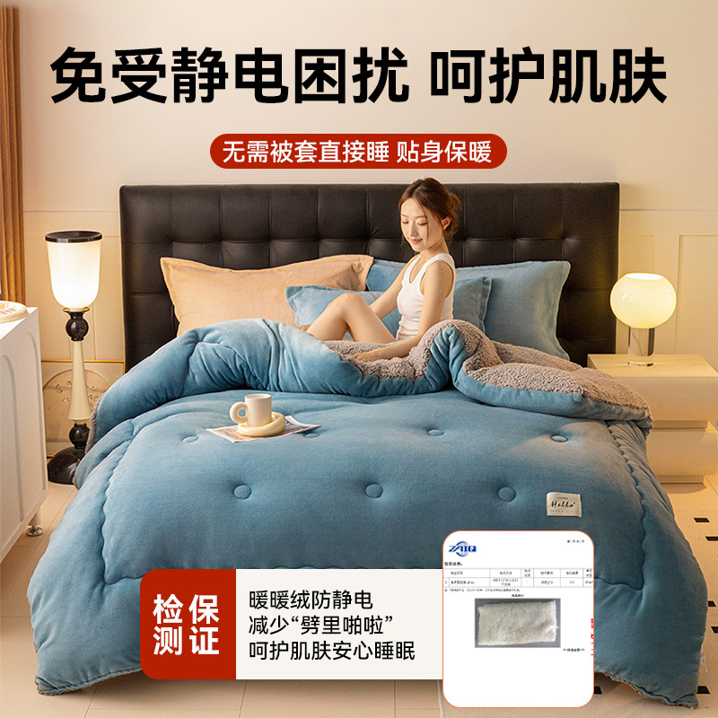 Winter Lamb Velvet Quilt Student Dormitory Thickeneded and Warm 2025 New Four-Season Universal Double-Sided Velvet Winter Quilt Core