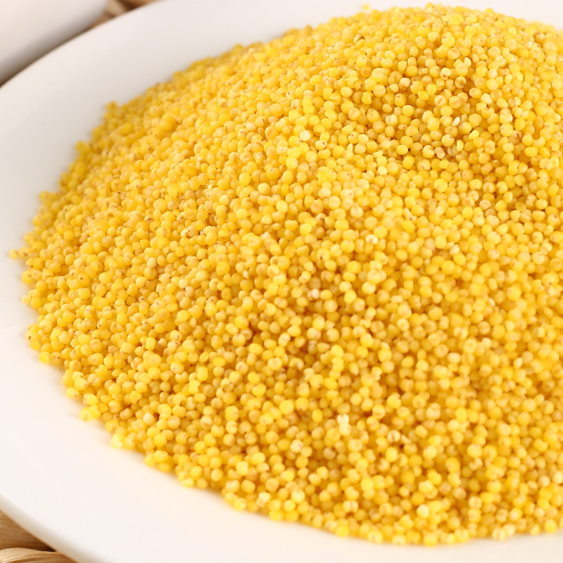 Yellow Millet 500g New Rice Grains Inner Mongolia Chifeng Farm Fragrant Glutinous Millet Porridge Coarse Grains Millet Wholesale