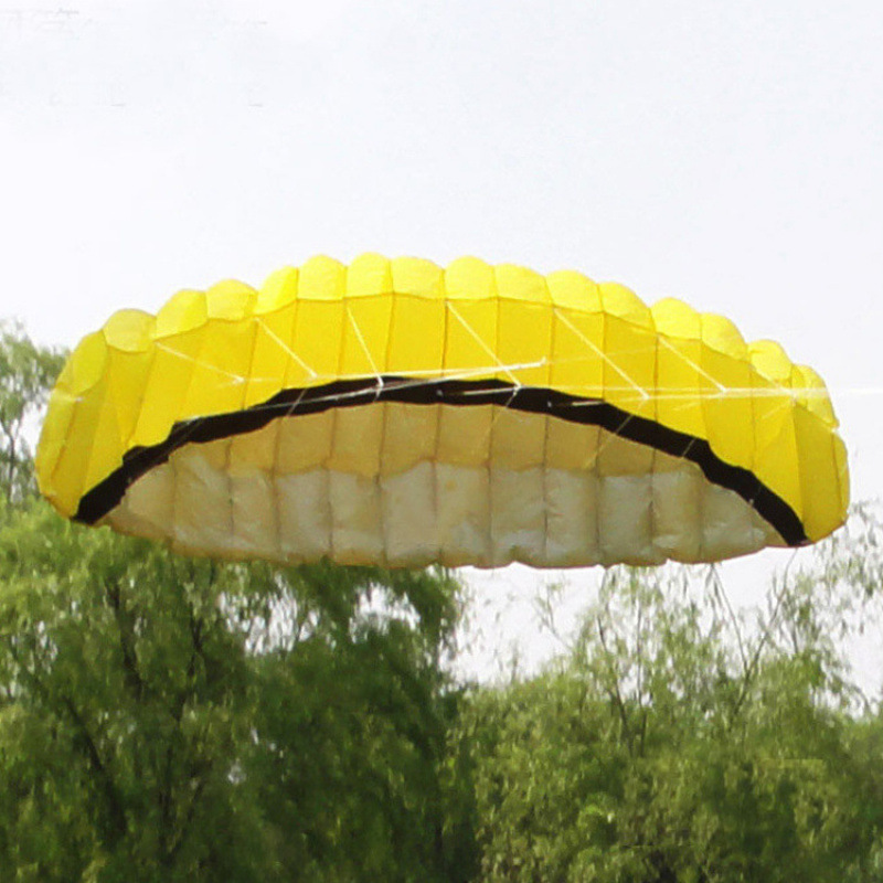 Double-Line Soft Kite Stunt Sports Kite 2.5m Rainbow Umbrella Multi-Line Foreign Trade Paraglider Kite
