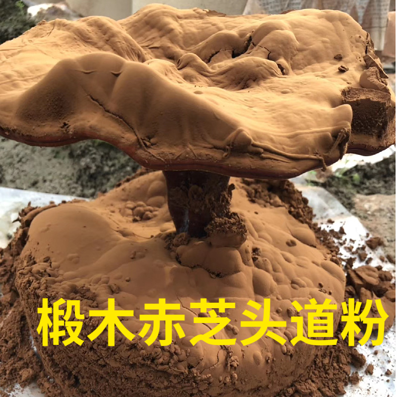 High-Content Broken Ganoderma Spore Powder Capsules 0.25G/Capsule Polysaccharide 3.5g Triterpenes 12g Basswood Ganoderma Sample