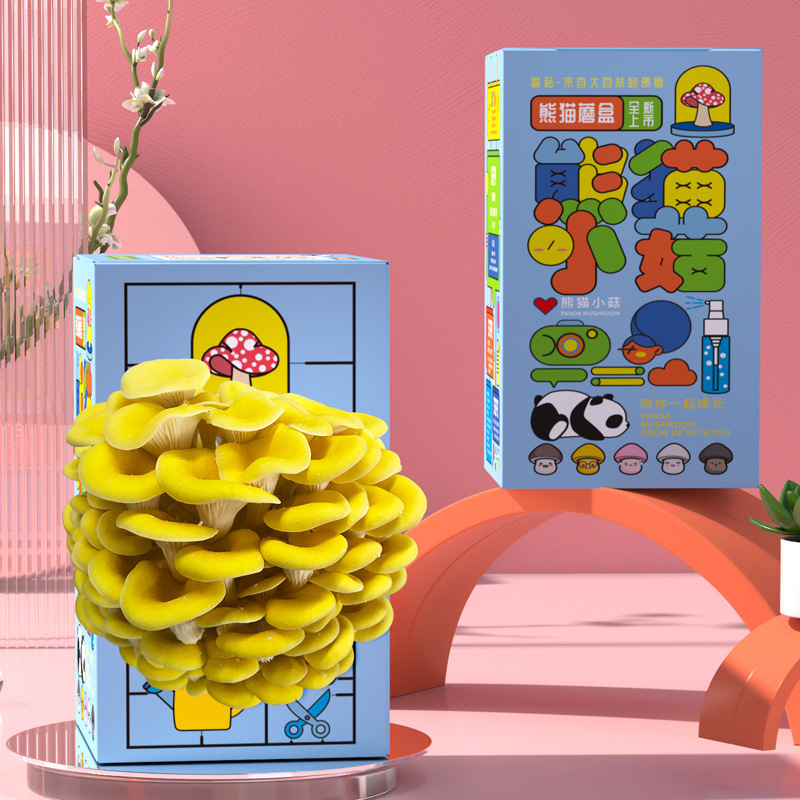 Mushroom Box Gift Box Pleurotus ostreatus Planting Bag Edible Fungi Doll Green Plant Kindergarten Breeding Boxed Bag Gift