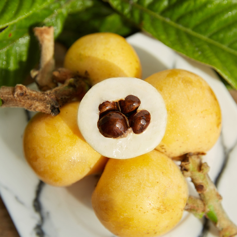 Zhejiang White Jade Loquat Fresh Fruit for Pregnant Women, Freshly Picked and Delivered in Sf Express Gift Box