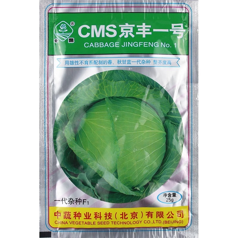 Jingfeng No. 1 Cabbage Seeds for Spring and Autumn Planting