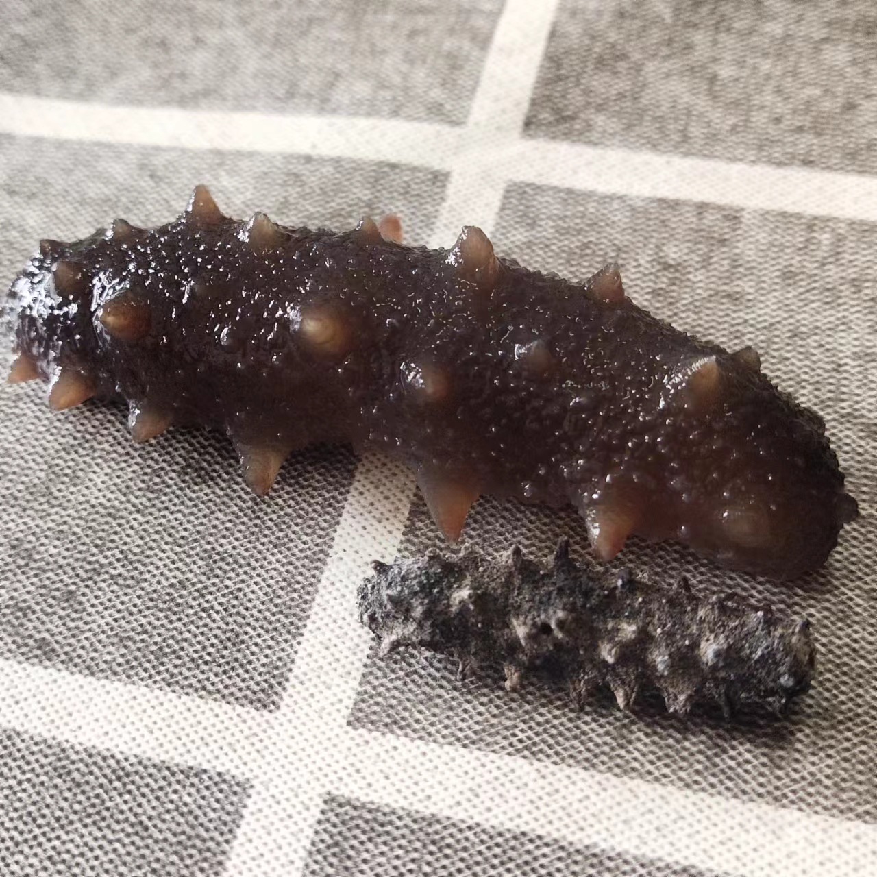 Source Manufacturer Wholesale Light Dried Sea Cucumber Fresh Sea Cucumber Liao Sea Cucumber High Sea Cucumber Flesh Plump Light Dried Small Sea Cucumber Dry Goods