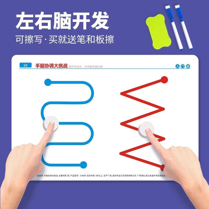 Left and Right Brain Development Toys for Young Children Whole Brain Thinking Training Concentration Attention Fine Movement Exercise Teaching Aid