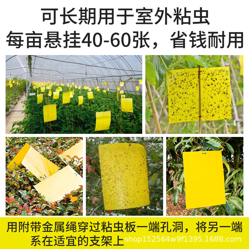 Sticky insect plate yellow plate double-sided small flying insect killing artifact greenhouse fruit fly killing sticker orchard fruit fly mosquito trap