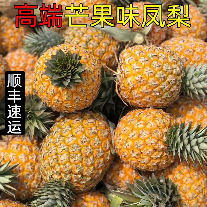 Hainan Mango Pineapple Taichung No. 23 Mango Flavor Sf Express Orchard Seasonal Fruit Freshly Picked Gift Box One Piece Wholesale