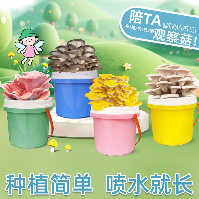 Flat Mushroom Planting Bucket Potted Indoor Children's Edible Mushroom Gift Box DIY Succulent Balcony