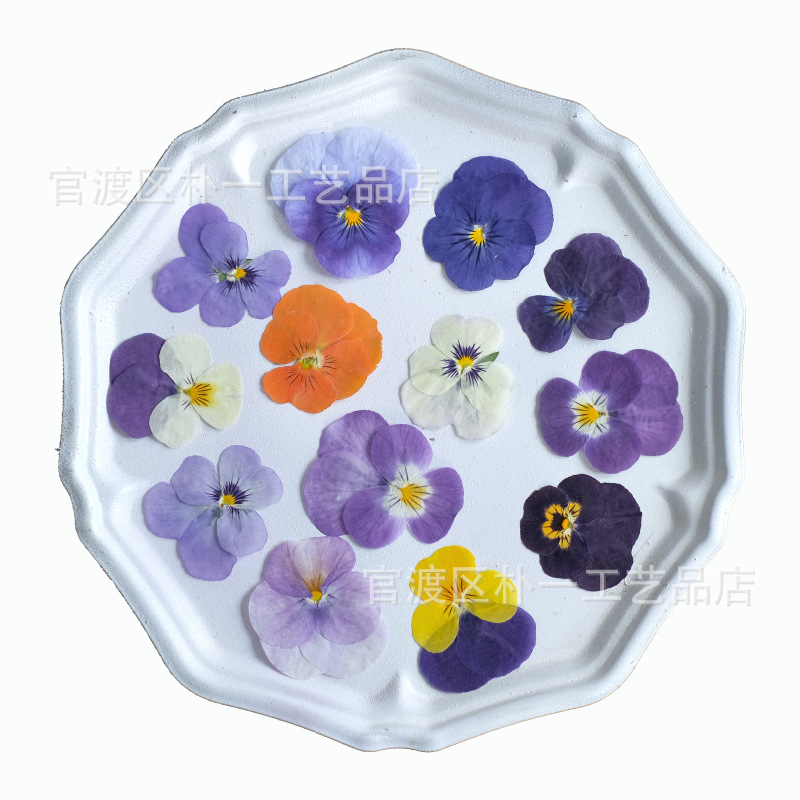 Pansy Fragrant Pansy Dried Flower Embossed Plant Specimen Wholesale Bed Flower Photo Frame Table Lamp Real Flower Nail Art Face Decorative Flower