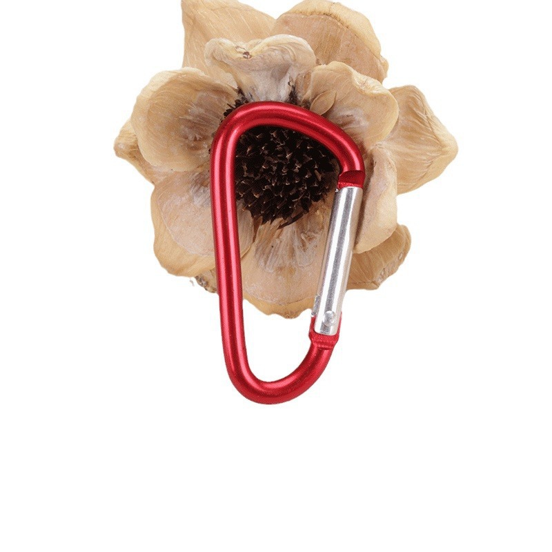 Baojian Metal No. 5 D-Type Buckle Outdoor Climbing Buckle Aluminum Alloy Travel Key Ring Metal Water Bottle Buckle