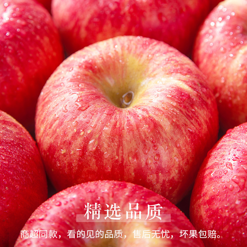Yantai Red Fuji Apple 10 Should Season Jin Fresh Fruit Whole Box Shandong Qixia Crisp Sweet Candy Heart Ugly Flat Fruit
