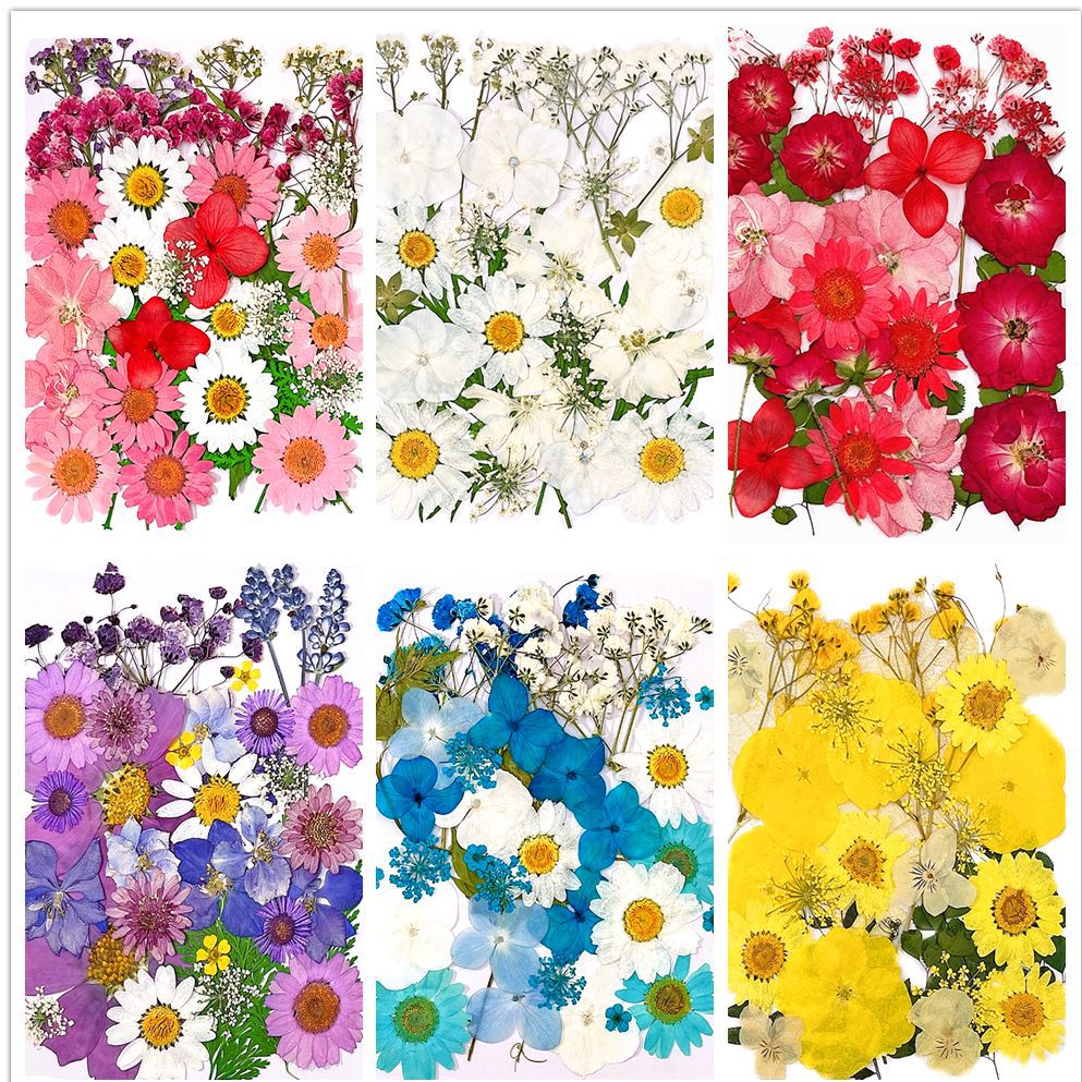Cross-border Dried Flower Embossed Wholesale diy Handmade Photo Frame Bookmark Drop Glue Phone Case Beauty Face Decal Combo Bag