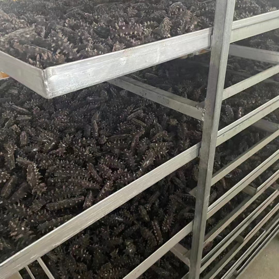 Dried Sea Cucumber Starting from One Piece Fd Freeze-Dried Sea Cucumber Bulk Wholesale Quick-Release Sea Cucumber Aquatic Product Gift Box Special Ginseng