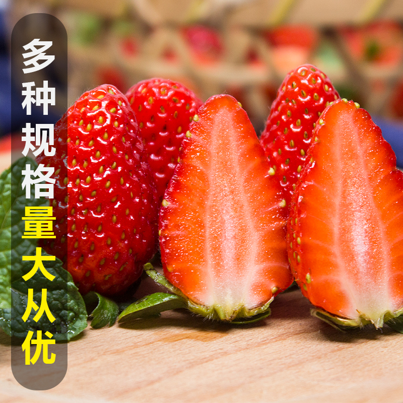 Shuangliu Winter Sour Fresh Strawberries Commercial Drinks Cake Shop Baking Milk Tea Shop Special Strawberry Fruit Sf Free Shipping
