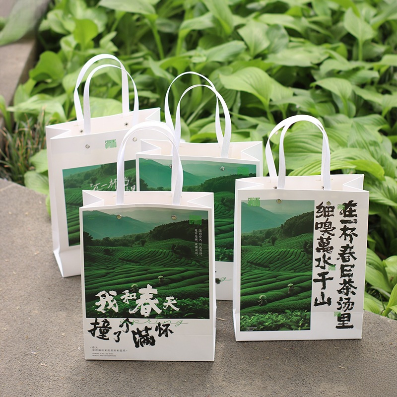 Spring Tea New Handbag Green Tea New Tea Packaging Bag Mingqian Longjing Biluochun Huangshan Maofeng Anji White Tea Gift