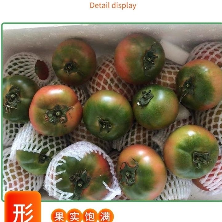 Dandong Iron-Skinned Persimmons, Fresh Alkaline Tomatoes, Dandong Strawberries, Naturally Ripe and Raw Fruits, Tomatoes Grown by Themselves
