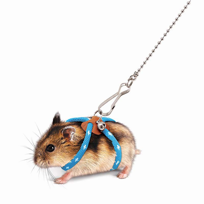 Hamster traction rope anti-bite walking rope mouse mouse out of the wind traction belt hamster interaction to relieve boredom