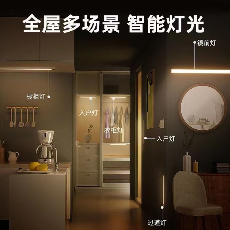 Human Body Intelligent Sensor Wardrobe Shoe Cabinet Wine Cabinet Light Strip Led Light Board Magnetic Whole House Multi-Functional Entrance Light