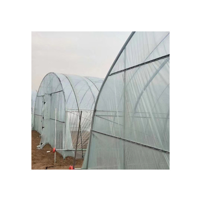 Q235B Greenhouse Frame Pipe for Vegetable Cultivation, Ginger Planting, and Watermelon Oval Steel Pipe Galvanized Pipe