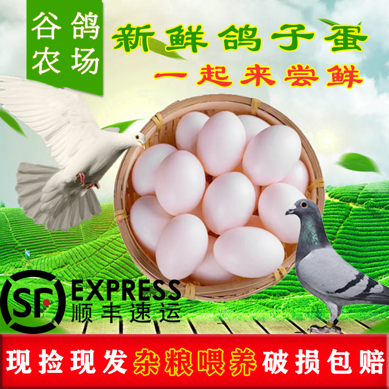 Бесплатная доставка [30 штук более 610 граммов] свежих яиц голубей, фермерские зерна, прямая доставка с фермы