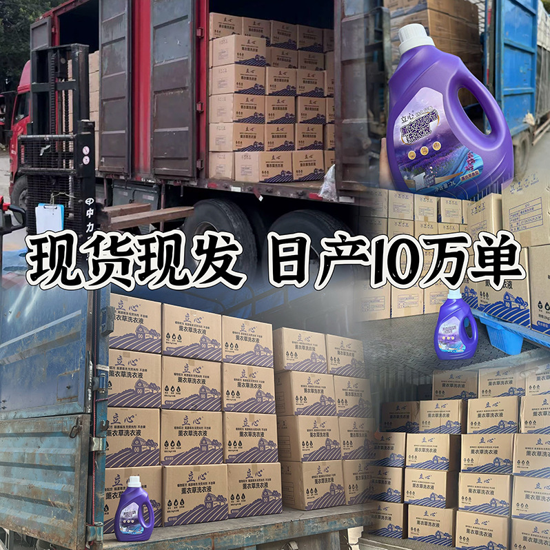 Lavender Laundry Detergent 2kg Deep Cleaning Long-Lasting Fragrance Laundry Detergent Whole Box Wholesale Household Community Group Purchase Manufacturer