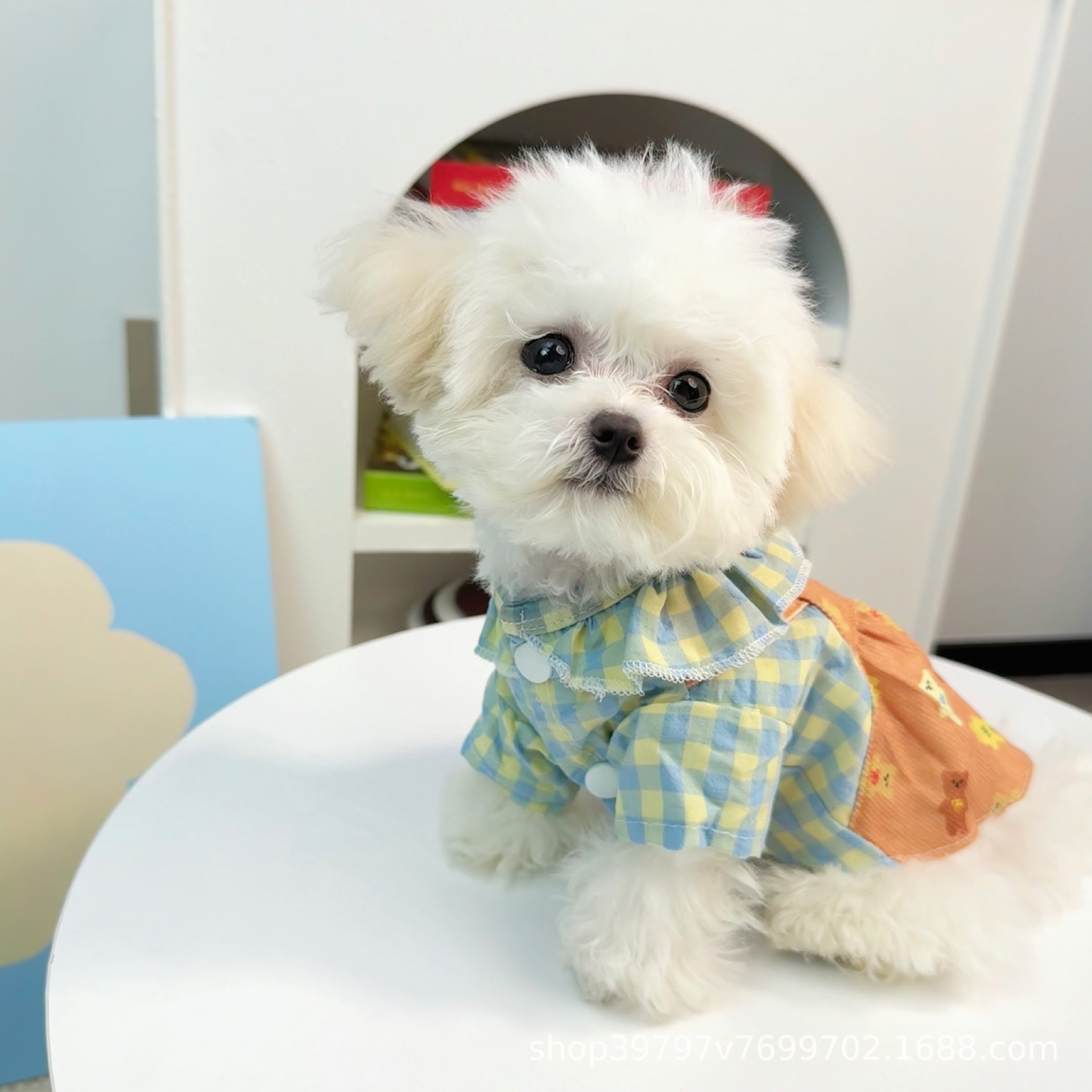 Spring and Summer Dog Cute Cartoon Small and Medium-sized Dog Strap Skirt Cat Two-legged Skirt Pet dress Dog Clothes