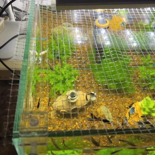 Hebei Zhuangqiang Fish Tank Invisible Anti-Jump Grid Sheet 6mm Marine Tank Anti-Escape Cover Net Encrypted Pp Plastic Filter Mesh Sheet