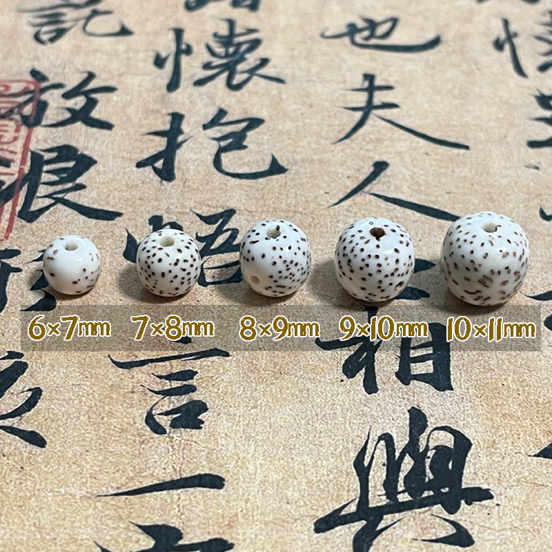 Xingyue Bodhi Natural Bodhi Original Seed Wen Play Buddha Beads January Moon Plain Beads Handstring Accessories Scattered Beads Hainan Original Ecology
