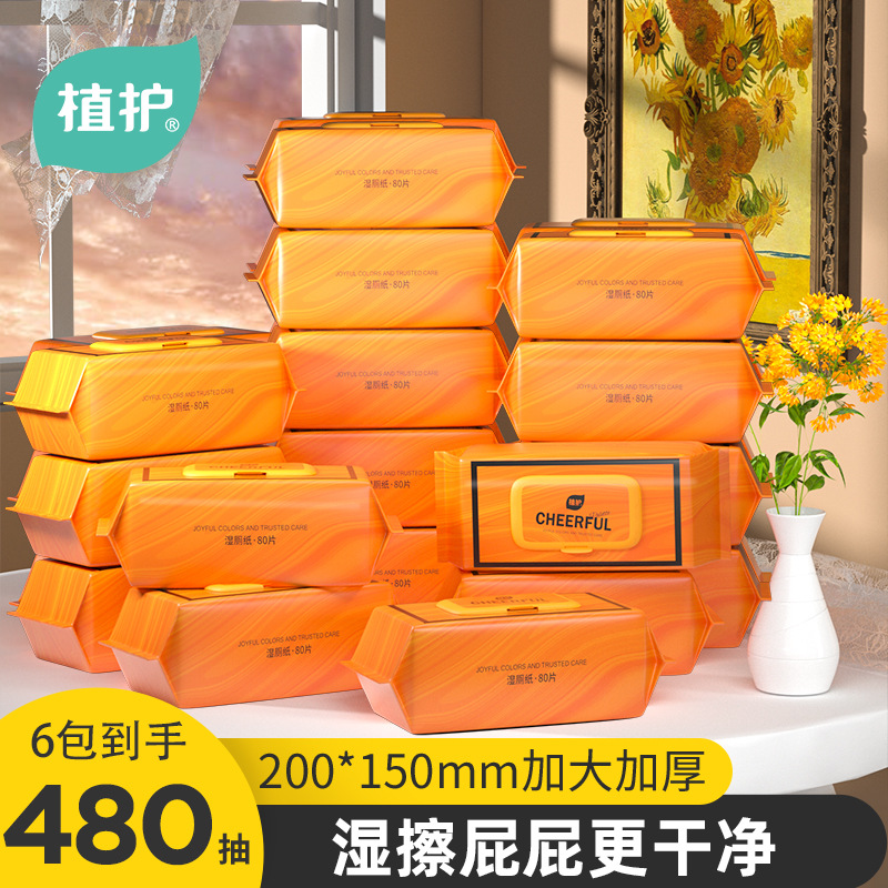 Влажная туалетная бумага Plant and Protect, 80 штук, биоразлагаемая, оптовая упаковка