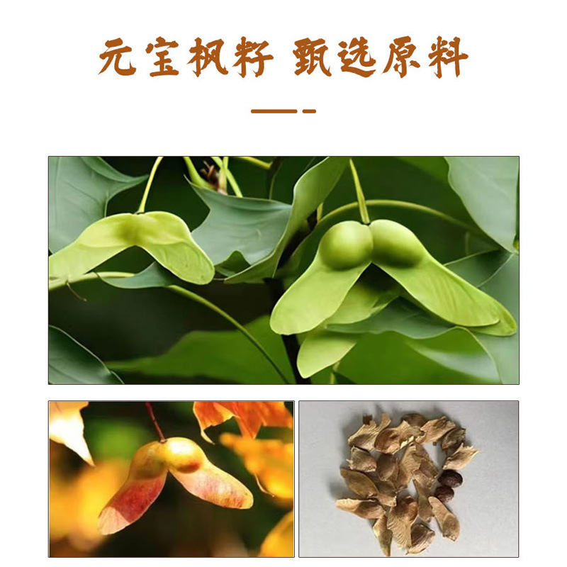 Yuanbao Maple Seed Oil Spot Wholesale Smooth 15-24 Carbonene Acid Nervonic Acid >6.5 Qualified Yuanbao Maple