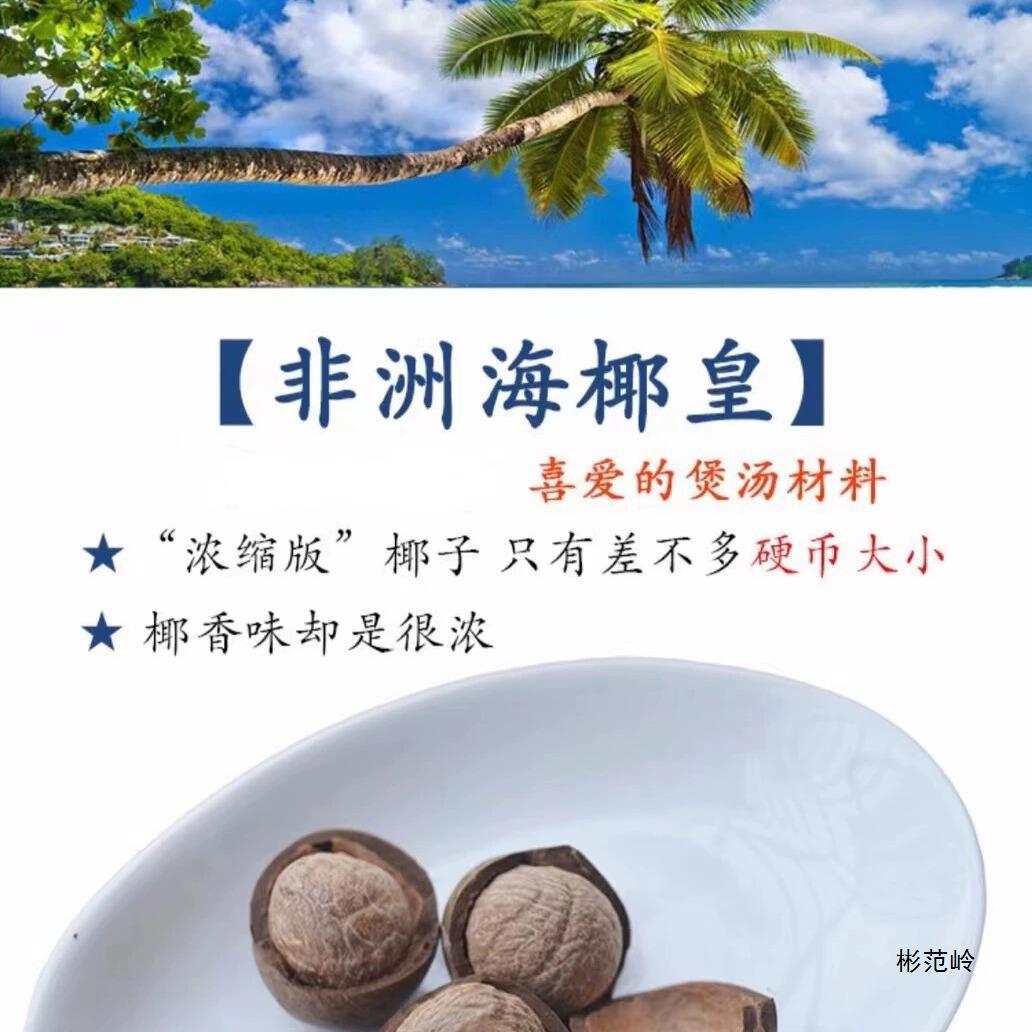 Mini Fresh Coconut Royal for Hot Pot Soup, Small Coconut Chicken Soup for Commercial and Home Use