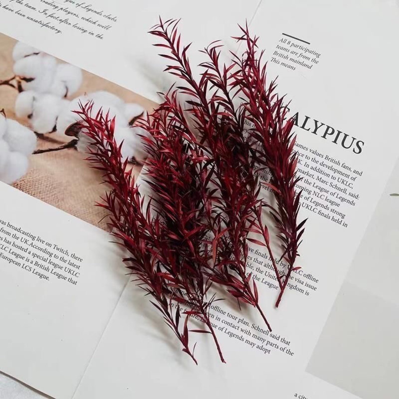 Сохраненные цветы Новый год Тысячелистный золотой лист материалы для рукоделия Сохранение открытки Сухие цветы Подарочная коробка Зеленые растения Фотографические реквизиты