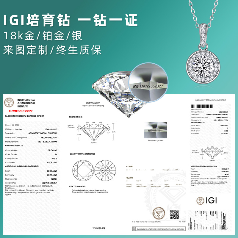 Factory Direct 18K Gold Custom Closed New Women's S925 Silver Niche High-End Closed Igi Cultured Diamond Necklace