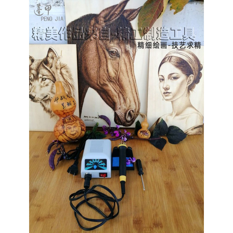 Adjustable Temperature Gourd Pyrography Tool Set Pyrography Machine Wood Board Pyrography Pen Electric Iron Pyrography Iron