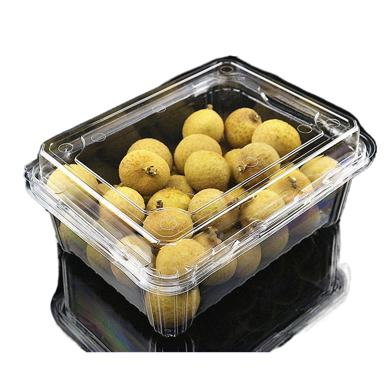 Disposable Transparent Box Rectangular Fruit Box with Lid Fruit Fishing Vegetable Berry Packaging Assembled Plate Crisper Box
