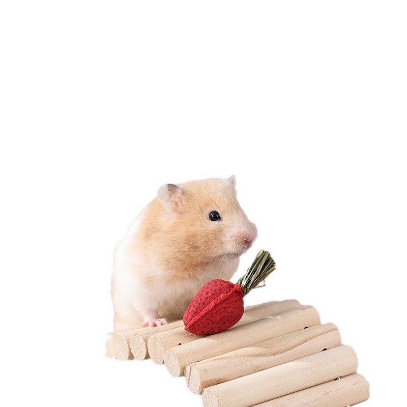 Hamster Snacks, Golden Bears, Teething Strawberries, Nutrition, Guinea Pigs, Chinchillas, Rabbits, Special Teething Sticks, Landscaping Toys