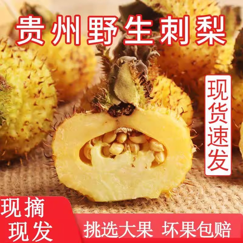 Специальные свежие плоды колючей груши из Гуйчжоу, аутентичные колючие груши из Гуйчжоу, крупные плоды, натуральный свежевыжатый витамин C, целая коробка, новые товары