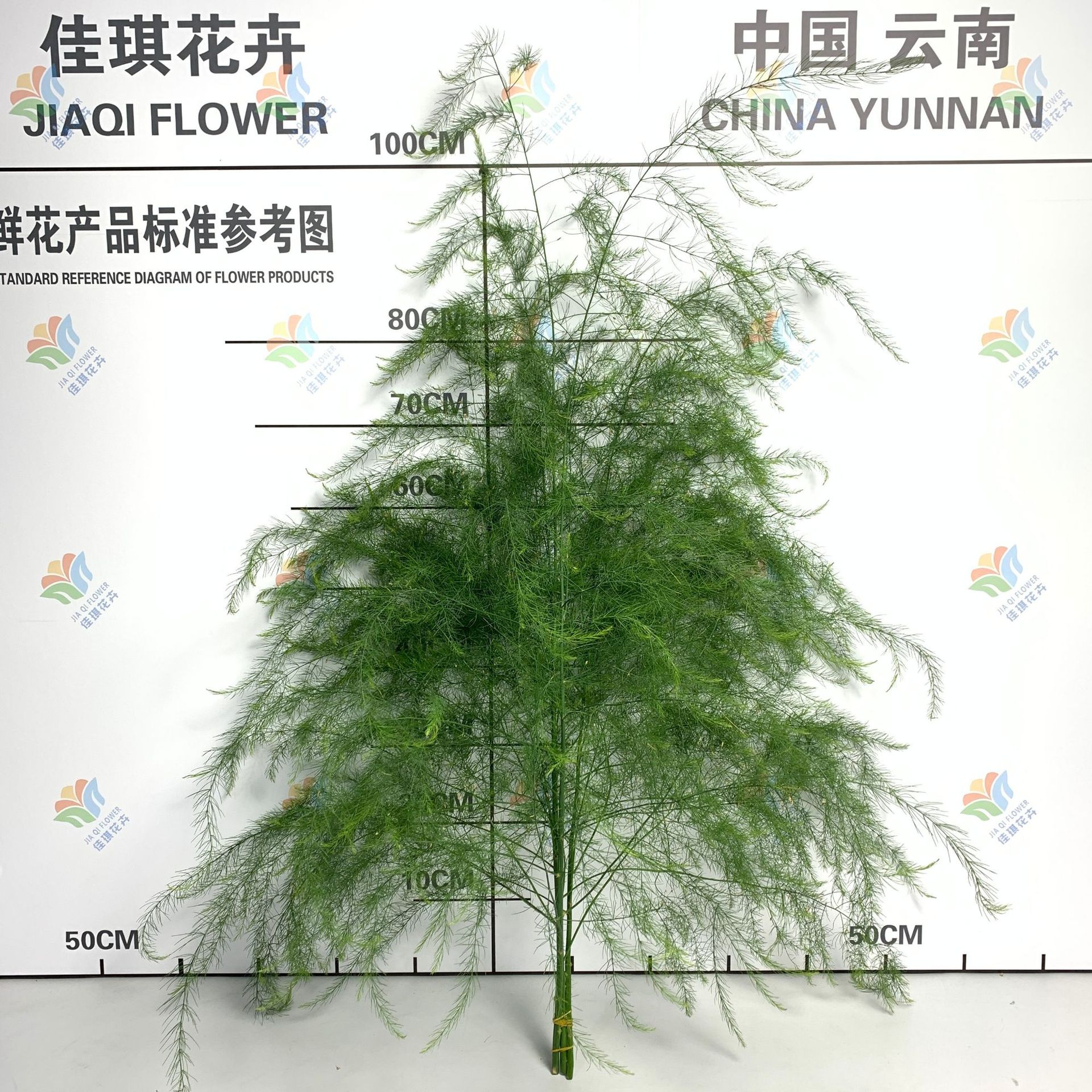 Fresh Asparagus Leaves, Flowers, Outdoor Wedding, Forest Style Wedding Arrangement, Flowers, DIY Asparagus Shooting Props