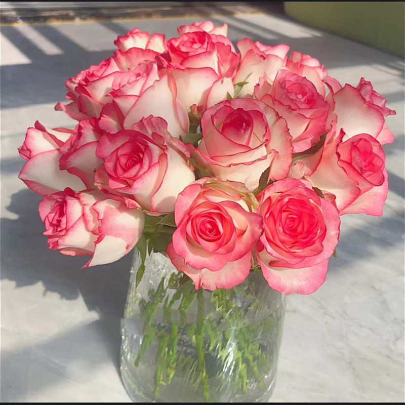Rose Flowers Wholesale Yunnan Kunming Flowers Direct Batch Real Flowers Flowers Let's Set up a Stall Together Wedding Flowers